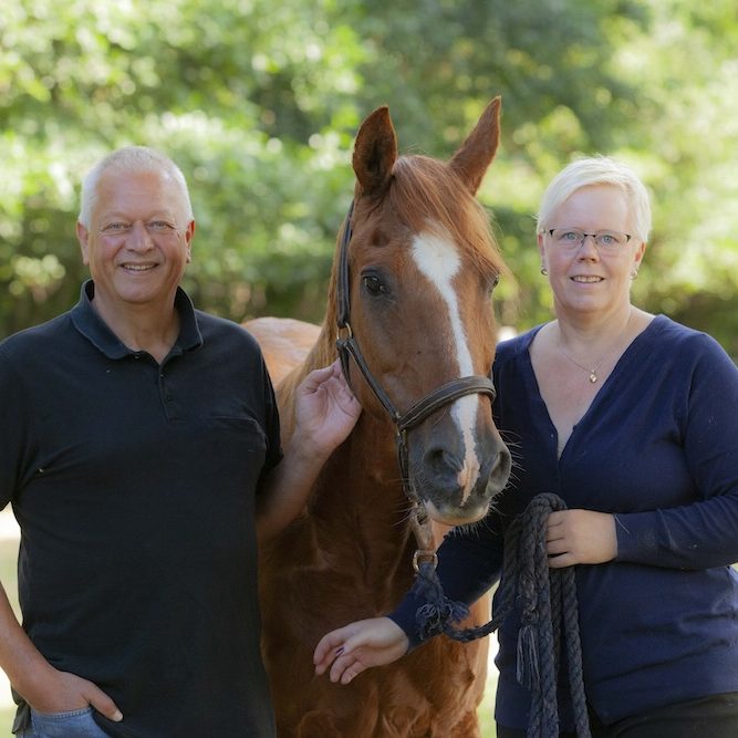 Willkommen im Ponyparadise