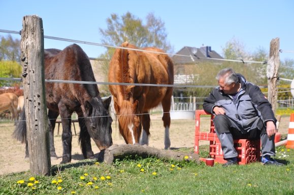 Eindrücke aus dem Ponyparadise