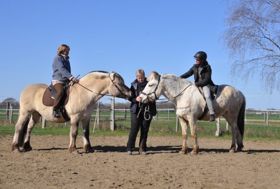 Eindrücke aus dem Ponyparadise