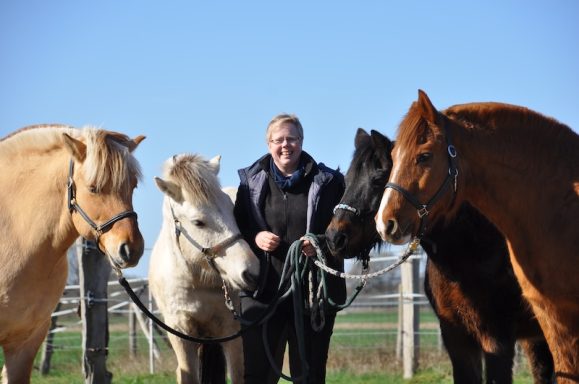 Eindrücke aus dem Ponyparadise