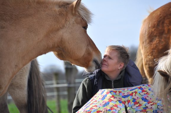 Eindrücke aus dem Ponyparadise